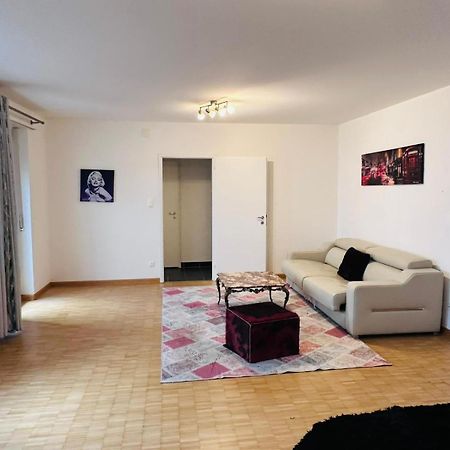 Hotel Apt Near Basel Centre And Airport Esterno foto