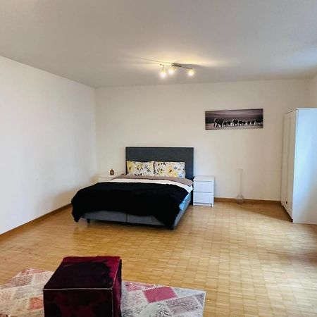 Hotel Apt Near Basel Centre And Airport Esterno foto